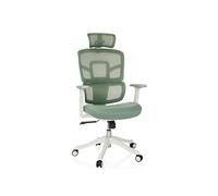 MyBuero Siège de Travail Ergonomique ERGOMY I W Chaise de Bureau avec Appui-lordose Flexible, Appui-tête, accoudoirs, Dossier résille, Tissu Vert