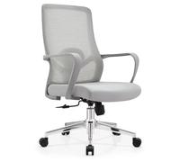Chaise de Bureau Ergonomique avec roulettes Chaise pivotante avec Soutien Lombaire Réglable en Hauteur Coussin d'assise en Mousse Haute résilience(Gray,Basic)