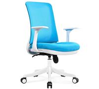 Chaise de Bureau Ergonomique Chaise de Bureau pivotante, Chaise étudiante à Domicile, Chaise Ergonomique, Table de Dos en Filet et chaises, réglable en Hauteur, 5 Couleurs (Couleur: d) Aqiong