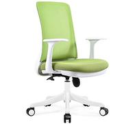Chaise de Bureau Ergonomique Chaise de Bureau pivotante, Chaise étudiante à Domicile, Chaise Ergonomique, Table de Dos en Filet et chaises, réglable en Hauteur, 5 Couleurs (Couleur: c) Aqiong