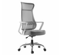 Chaise de Bureau Ergonomique - Chaise de Jeu avec Dossier en Maille Convient pour la Lecture à Domicile et l'utilisation au Bureau par des Adultes(White*Alloy,Standard)