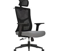 Chaise De Bureau Ergonomique Confortable Longues PéRiodes Assise Dossier Confortable Chaise Pivotante SièGe RéGlable D’Appui SièGes D’Ordinateur (Gris)