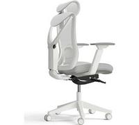 Desktronic SitPro Chaise de Bureau Ergonomique réglable Chaise de Bureau avec Support Lombaire - Aucune Douleur au Dos Gris