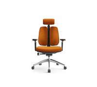 Chaise de Bureau Ergonomique en Maille avec Support de Colonne vertébrale, Conception à Double Dossier, Support de Taille Simple, Hauteur réglable, Chaise d'ordinateur Confortable pour la ma