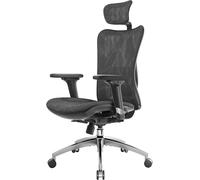 Chaise de bureau ergonomique en maille avec support lombaire réglable et accoudoirs 3D, chaise d'ordinateur à dossier haut respirante (noir)