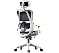 Chaise De Bureau Ergonomique Mesh Chaise De Bureau Soutien Lombaire RéGlable Chaises D’Ordinateur à Dossier Haut Respirantes Adaptatives (Pieds en Alliage D’Aluminium/Cadre Blanc Maille No