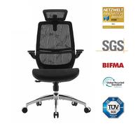 Chaise de bureau ergonomique SIHOO M59AS, chaise de bureau avec accoudoirs relevables 3D, chaise d'ordinateur avec conception de double dossier et soutien lombaire dynamique adaptatif (Gris)