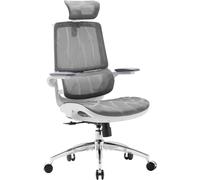 Chaise de bureau ergonomique SIHOO M59AS, chaise de bureau avec accoudoirs relevables 3D, chaise d'ordinateur avec conception de double dossier et soutien lombaire dynamique adaptatif (Gris)