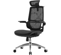 Chaise de bureau ergonomique SIHOO M59AS, chaise de bureau avec accoudoirs relevables 3D, chaise d'ordinateur avec conception de dossier double et soutien lombaire dynamique adaptatif (Noir)