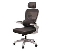 Chaise De Bureau Ergonomique Soutien Lombaire Chaises ExéCutives D’Ordinateur Accoudoirs Rabattables à La Maison Appuie TêTe RéGlable Filet Dossier Coussin Confortable Jeu