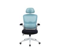 Chaise de Bureau Ergonomique Woxter Ergo Bleue