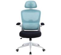 Chaise de Bureau Ergonomique Woxter Ergo Bleue G
