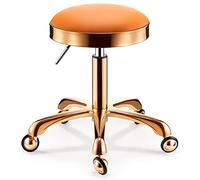 Chaise de Bureau exécutive Ergonomique avec siège en Cuir pivotant et réglable et Roues Solides en Acier Inoxydable pour Tabouret de beauté de Bureau dans la Cuisine, Le Laboratoire de dessi