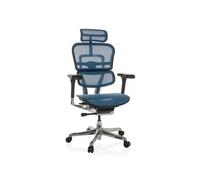 HJH Office Chaise ergonomique ERGOHUMAN GEN2 - 24h/24, soutien lombaire flexible - Filet bleu