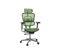 Chaise de bureau / Fauteuil de direction ERGOHUMAN I Tissu maille vert
