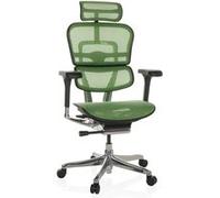 hjh OFFICE Chaise de Bureau Ergonomique ERGOHUMAN GEN2 Design Original, Utilisation 24h/24 Fauteuil de Bureau avec Soutien Lombaire Flexible, Filet Vert
