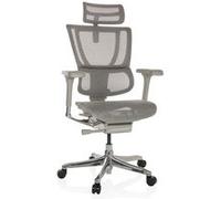 hjh OFFICE Chaise de Bureau Ergonomique ERGOHUMAN Slim GEN2 Design Original, Utilisation 24h/24, Chaise pivotante avec Soutien Lombaire Flexible, Filet Gris Clair