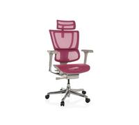 HJH Office Chaise de bureau ERGOHUMAN Slim G GEN2 – 24h/24, soutien lombaire flexible, filet rose