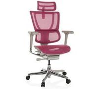 HJH Office Chaise de bureau ERGOHUMAN Slim G GEN2 – 24h/24, soutien lombaire flexible, filet rose
