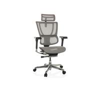 HJH Office Chaise bureau ERGOHUMAN GEN2 – Ergonomique 24h/24, soutien lombaire, filet gris clair