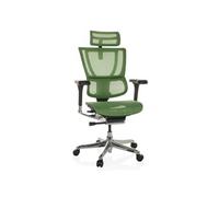 Chaise de bureau / Fauteuil de direction ERGOHUMAN SLIM I Tissu maille vert