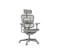 ERGOHUMAN ULTRA G GEN2 | tissu maille - Siège de direction de luxe Gris