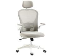 Chaise de Bureau HOMCOM, Chaise de Bureau Ergonomique avec Fonction Bascule, Appui-tête réglable, Chaise d'ordinateur avec Soutien Lombaire 4D, Bras relevable, pour Bureau à Domicile, Gris