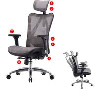chaise de bureau SIHOO ergonomique charge max. 150kg gris/noir Gris