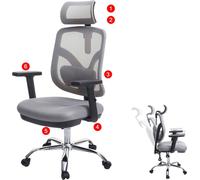 Sihoo chaise de bureau chaise de bureau, ergonomique, soutien lombaire réglable et accoudoir ~ gris