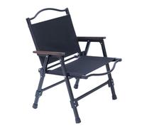 Chaise de camping portable, pliable, amovible, capacité de charge de 200 kg avec accoudoirs pour jardin, pique-nique, pêche, pelouse, bord de mer, piscine