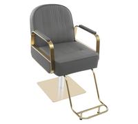 Chaise de coiffure, hydraulique, professionnelle, pour salon de coiffure, maison, salon de beauté, salon de beauté, salon de manucure, spas (doré + gris)