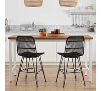 Chaise de salle à manger 2 pc Rattan et Acier Sièges d'intérieur vidaXL vidaXL