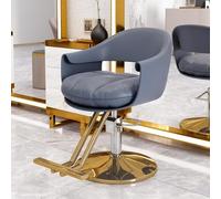 Chaise de salon de coiffure avec pompe hydraulique robuste, rotation à 360 °, équipement de toilettage réglable,