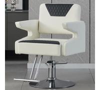 Chaise De Salon De Coiffure - Convient Aux Coiffeurs Et Aux Salons À Domicile ; Comprend Un Pivot À 360°, Une Hauteur Réglable, Une Pompe Hydraulique Robuste Et Des Accoudoirs,Ee