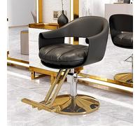 Chaise de Salon de Coiffure Osmari avec Pompe Hydraulique Robuste, Équipement de Beauté de Spa Ajustable à 360 °, Chaise de Salon de Coiffure à Domicile, Gris Beige B, JYLSSKUK, Noir B