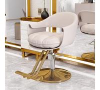 Chaise de Salon de Coiffure Osmari avec Pompe Hydraulique Robuste, Équipement de Beauté de Spa Ajustable à 360 °, Chaise de Salon de Coiffure à Domicile, Gris Beige B, JYLSSKUK, Beige gris B