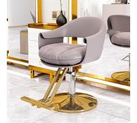 Chaise de Salon de Coiffure Osmari avec Pompe Hydraulique Robuste, Équipement de Beauté de Spa Ajustable à 360 °, Chaise de Salon de Coiffure à Domicile, Gris Beige B, JYLSSKUK, Grégory B