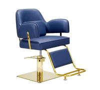 Chaise de salon de coiffure professionnelle avec siège relevable - Design confortable, élégant et réglable pour salons de beauté, salons de coiffure et spas - Expérience client ultime