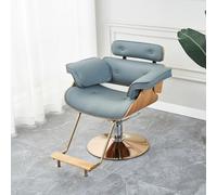 Chaise de salon hydraulique - Heavy Duty Stylist Throne, pivotant à 360°, hauteur réglable pour studio de toilettage, supporte 181,4 kg