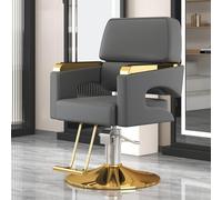 Chaise de salon hydraulique, pivotante à 360°, équipement de coiffage réglable pour barbiers professionnels et stylistes