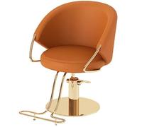 Chaise de salon pour coiffeur, pompe hydraulique robuste, pivotant à 360 °, équipement de beauté pour un usage professionnel, design ergonomique pour plus de confort et de stabilité