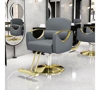 Chaise de salon professionnelle pour coiffeur, pompe hydraulique robuste, hauteur réglable à 360°, design ergonomique, idéal pour les salons de coiffure et les salons de coiffure