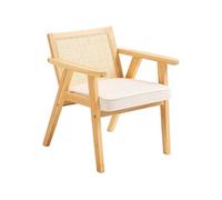 Chaise en rotin extérieur chaise de salle à manger 1 PC accoudoirs coussin