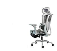 Chaise Ergonomique Accoudoirs 9d Chaise D’Ordinateur Fauteuils De Bureau Chaises De Jeu Appuie-TêTes 8d Position InclinéE Assis Longuement sans Fatigue (Pieds en Alliage/Gris avec Repose-Pie