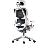 Chaise Ergonomique De Bureau Chaises Support Lombaire en Maille Dossier Basculant Accoudoirs 3D RéGlables Pivot Haut Ordinateur Jeu à Maison.