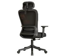 Chaise Ergonomique De Bureau Soutien Lombaire Appuie-TêTe Accoudoirs RembourréS Ajustables Coussin D’Assise Confortable Chaises ExéCutives à Dossier Haut Bureau à Domicile (Pieds en Acier/Co