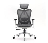 Sihoo M57 chaise de bureau ergonomique en mesh avec soutien lombaire réglable, accoudoirs 3D et dossier haut respirant gris clair