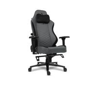 Chaise Gaming Alpha Gamer Alegra Evo Gris Titane