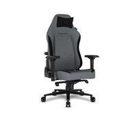 Chaise Gaming Alpha Gamer Alegra V2 Grise