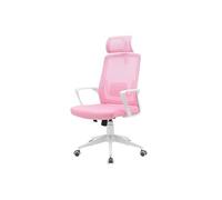 Chaise Gaming Ergonomique MGC-ERGOLITE, Maille Respirante, Appui-tête et Support Lombaire, Acier, Rose